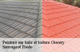 Peinture sur tuile et toiture  oissery-77178 Sauvageot Fredo