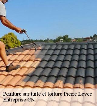 Peinture sur tuile et toiture  77580