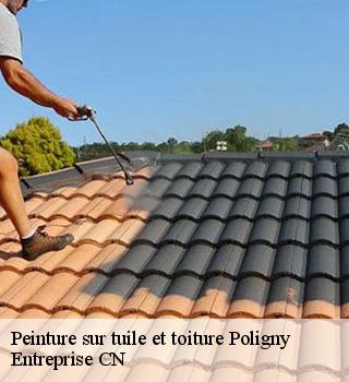 Peinture sur tuile et toiture 77167