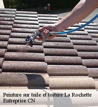 Peinture sur tuile et toiture 77000