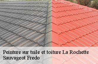 Peinture sur tuile et toiture la-rochette-77000 Sauvageot Fredo