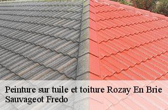 Peinture sur tuile et toiture rozay-en-brie-77540 Sauvageot Fredo