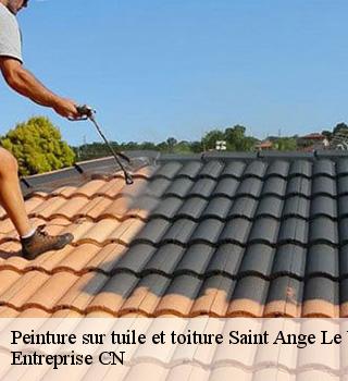 Peinture sur tuile et toiture 77710