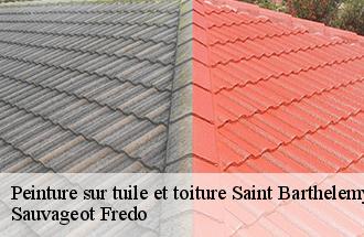 Peinture sur tuile et toiture  saint-barthelemy-77320 Sauvageot Fredo