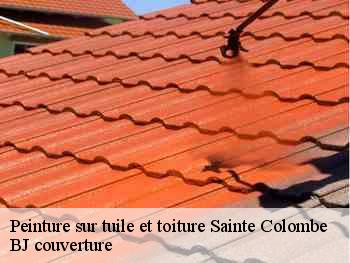 Peinture sur tuile et toiture  sainte-colombe-77650 BJ couverture