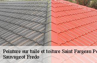 Peinture sur tuile et toiture saint-fargeau-ponthierry-77310 Sauvageot Fredo