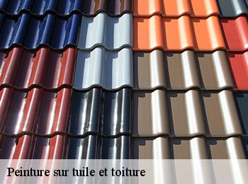 Peinture sur tuile et toiture
