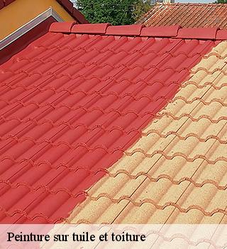 Peinture sur tuile et toiture 77169