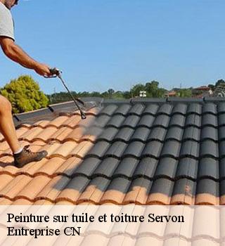 Peinture sur tuile et toiture  77170