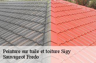 Peinture sur tuile et toiture sigy-77520 Sauvageot Fredo