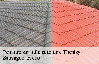 Peinture sur tuile et toiture thenisy-77520 Sauvageot Fredo