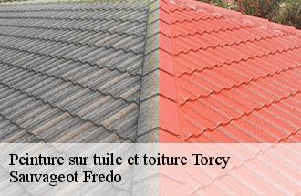 Peinture sur tuile et toiture torcy-77200 Sauvageot Fredo