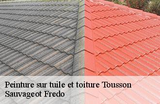 Peinture sur tuile et toiture  tousson-77123 BJ couverture