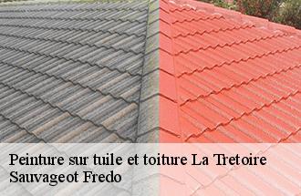 Peinture sur tuile et toiture la-tretoire-77510 Sauvageot Fredo