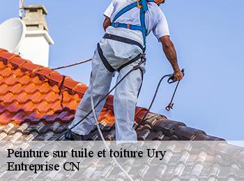 Peinture sur tuile et toiture  ury-77760 Entreprise CN