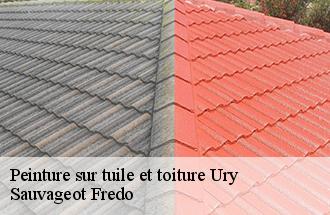 Peinture sur tuile et toiture  ury-77760 Sauvageot Fredo