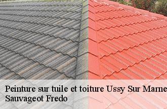 Peinture sur tuile et toiture  ussy-sur-marne-77260 Sauvageot Fredo