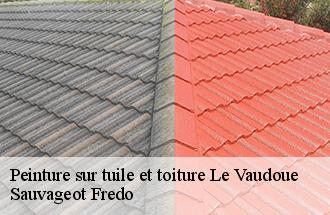 Peinture sur tuile et toiture  le-vaudoue-77123 Sauvageot Fredo