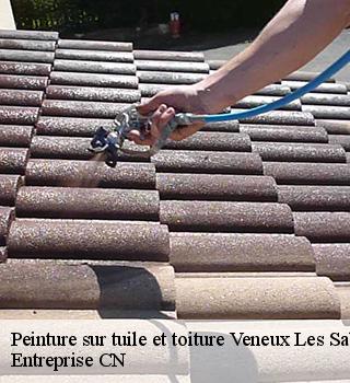 Peinture sur tuile et toiture  77250