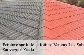 Peinture sur tuile et toiture  veneux-les-sablons-77250 Sauvageot Fredo