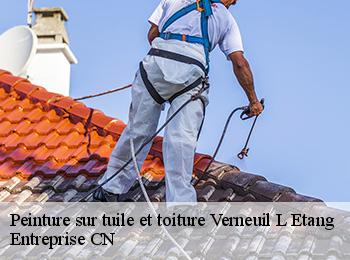 Peinture sur tuile et toiture  verneuil-l-etang-77390 Entreprise CN