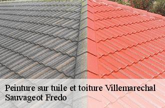 Peinture sur tuile et toiture villemarechal-77710 Sauvageot Fredo