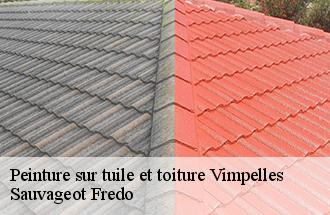 Peinture sur tuile et toiture vimpelles-77520 Sauvageot Fredo