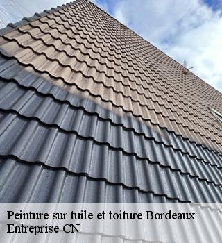 Peinture sur tuile et toiture 77410