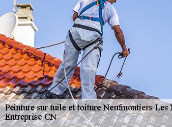 Peinture sur tuile et toiture  neufmontiers-les-meaux-77124 Entreprise CN