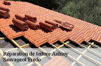 Réparation de toiture aulnoy-77120 Sauvageot Fredo