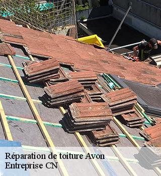 Réparation de toiture  77210