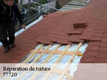 Réparation de toiture  77720