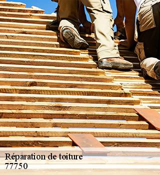 Réparation de toiture  77750