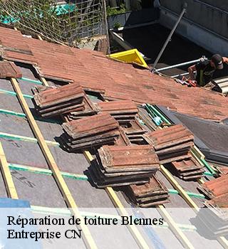 Réparation de toiture 77940