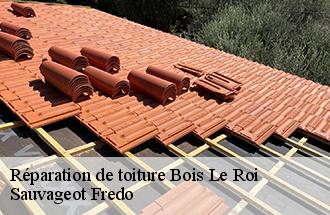 Réparation de toiture bois-le-roi-77590 Sauvageot Fredo