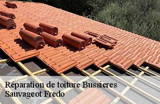 Réparation de toiture  bussieres-77750 Sauvageot Fredo