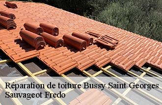 Réparation de toiture bussy-saint-georges-77600 Sauvageot Fredo