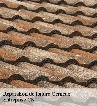 Réparation de toiture  77320