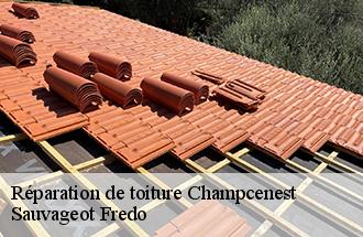 Réparation de toiture  champcenest-77560 Sauvageot Fredo