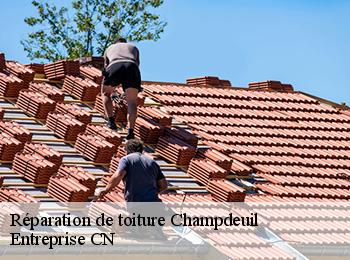 Réparation de toiture champdeuil-77390 Entreprise CN