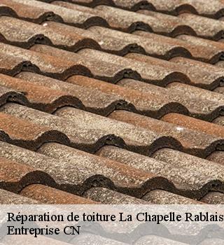 Réparation de toiture  77370