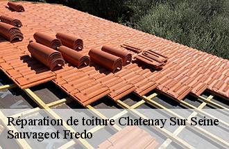 Réparation de toiture  chatenay-sur-seine-77126 BJ couverture