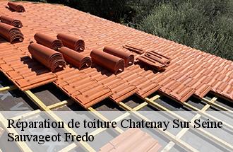 Réparation de toiture  chatenay-sur-seine-77126 Sauvageot Fredo