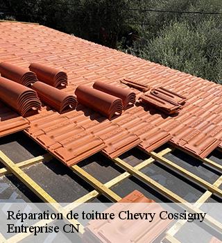 Réparation de toiture  77173