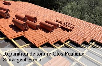 Réparation de toiture clos-fontaine-77370 Sauvageot Fredo