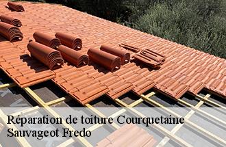 Réparation de toiture courquetaine-77390 Sauvageot Fredo