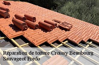 Réparation de toiture croissy-beaubourg-77183 Sauvageot Fredo