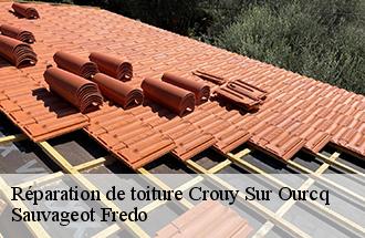 Réparation de toiture  crouy-sur-ourcq-77840 Sauvageot Fredo
