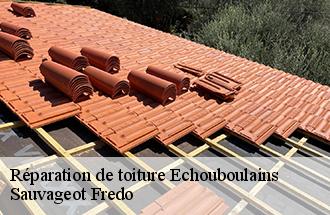Réparation de toiture echouboulains-77830 Sauvageot Fredo