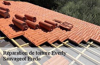 Réparation de toiture  everly-77157 Sauvageot Fredo